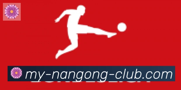 NG体育官网合作伙伴